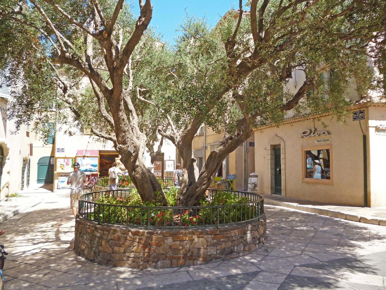 Apartment Eden Parc-4 By Interhome Saint-Tropez Kültér fotó